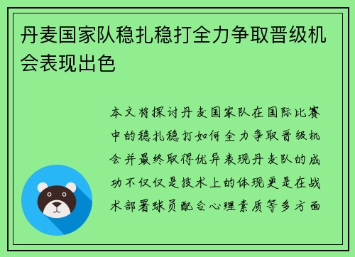 丹麦国家队稳扎稳打全力争取晋级机会表现出色