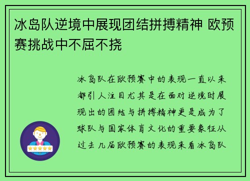冰岛队逆境中展现团结拼搏精神 欧预赛挑战中不屈不挠